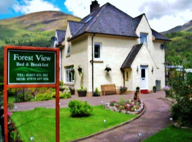 Forest View Guest House คินลอคคลีเวน ภายนอก รูปภาพ